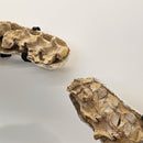 Mosasaurus Head & Spine - Fossil In Jacket 4PC Wall Mount - Statement Specimen
