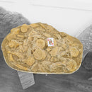 Mosasaurus Vertebrae - Fossil In Jacket - Statement Specimen
