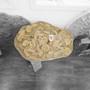Mosasaurus Vertebrae - Fossil In Jacket - Statement Specimen