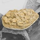 Mosasaurus Vertebrae - Fossil In Jacket - Statement Specimen