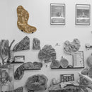 Mosasaurus Vertebrae - Wall Mount - Statement Specimen