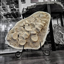 Mosasaurus Vertebrae - Fossil In Jacket - Statement Specimen