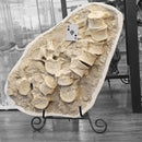 Mosasaurus Vertebrae - Fossil In Jacket - Statement Specimen