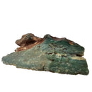 Mtorolite (Chrysoprase) - Rough - Zimbabwe