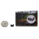 Muonionalusta - Mineral - Sweden