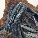 Vivianite - Specimen