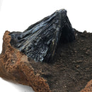 Vivianite - Specimen