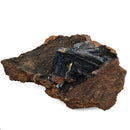 Vivianite - Specimen