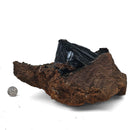 Vivianite - Specimen
