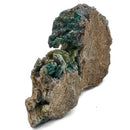 Native Copper in Chrysocolla - Polished Cut Face