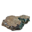 Native Copper in Chrysocolla - Polished Cut Face
