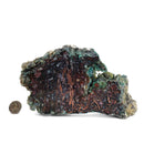 Native Copper in Chrysocolla - Polished Cut Face