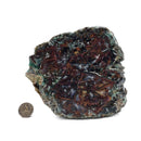 Native Copper in Chrysocolla - Polished Cut Face