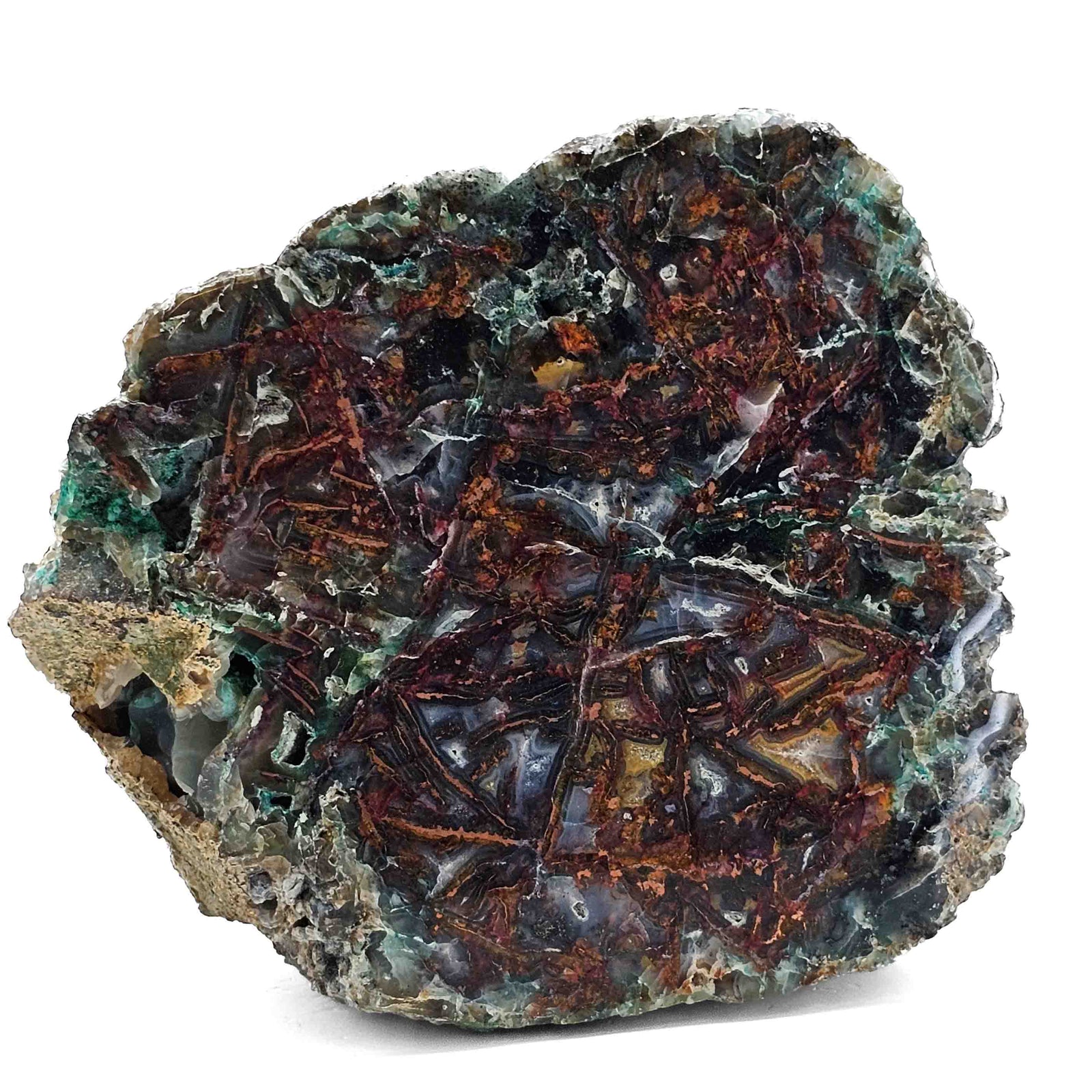 Native Copper in Chrysocolla - Polished Cut Face