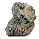 Native Copper in Chrysocolla - Polished Cut Face