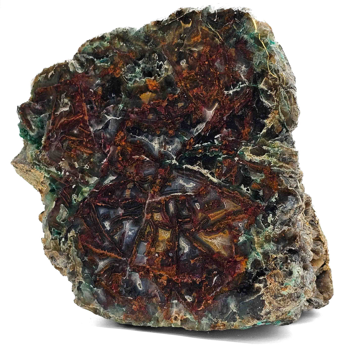 Native Copper in Chrysocolla polished cut face.