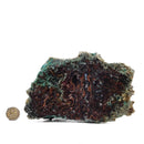 Native Copper in Chrysocolla - Polished Cut Face