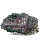 Native Copper in Chrysocolla - Polished Cut Face