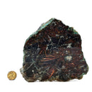Native Copper in Chrysocolla - Polished Cut Face