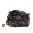 Native Copper in Chrysocolla - Polished Cut Face