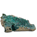 Native Copper in Chrysocolla - Polished Cut Face