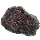 Native Copper in Chrysocolla - Polished Cut Face