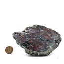 Native Copper in Chrysocolla - Polished Cut Face