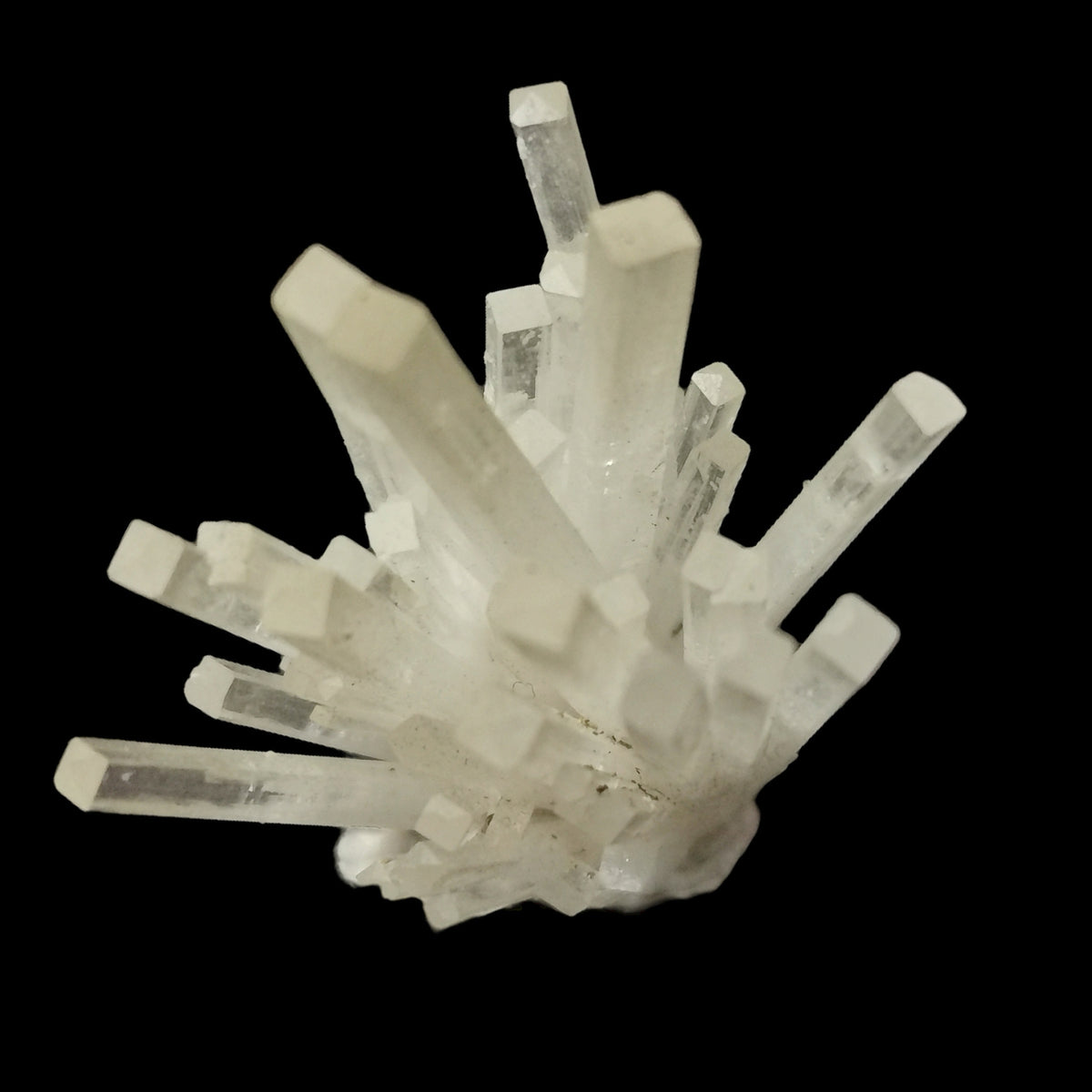 Natrolite, Morocco: radiating needle cluster