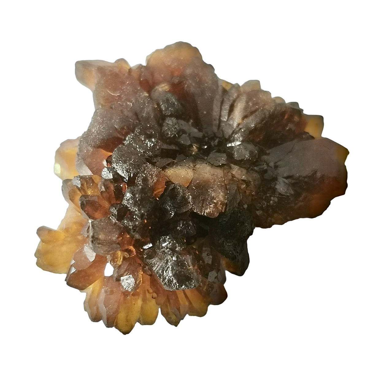 Natural citrine cluster from the Atlas Mountains, Morocco – single cluster, top view