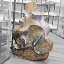 Ocean Jasper - Polished Flame - Statement Specimen