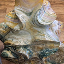 Ocean Jasper - Polished Flame - Statement Specimen