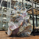 Ocean Jasper - Polished Flame - Statement Specimen