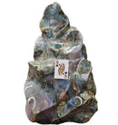 Ocean Jasper - Polished Flame - Statement Specimen