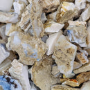 Opalized Wood (No Fire) - Fossil - Rough - Nevada, USA