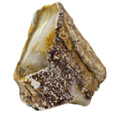 Opalized Wood (No Fire) - Fossil - Rough - Nevada, USA