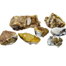 Opalized Wood (No Fire) - Fossil - Rough - Nevada, USA
