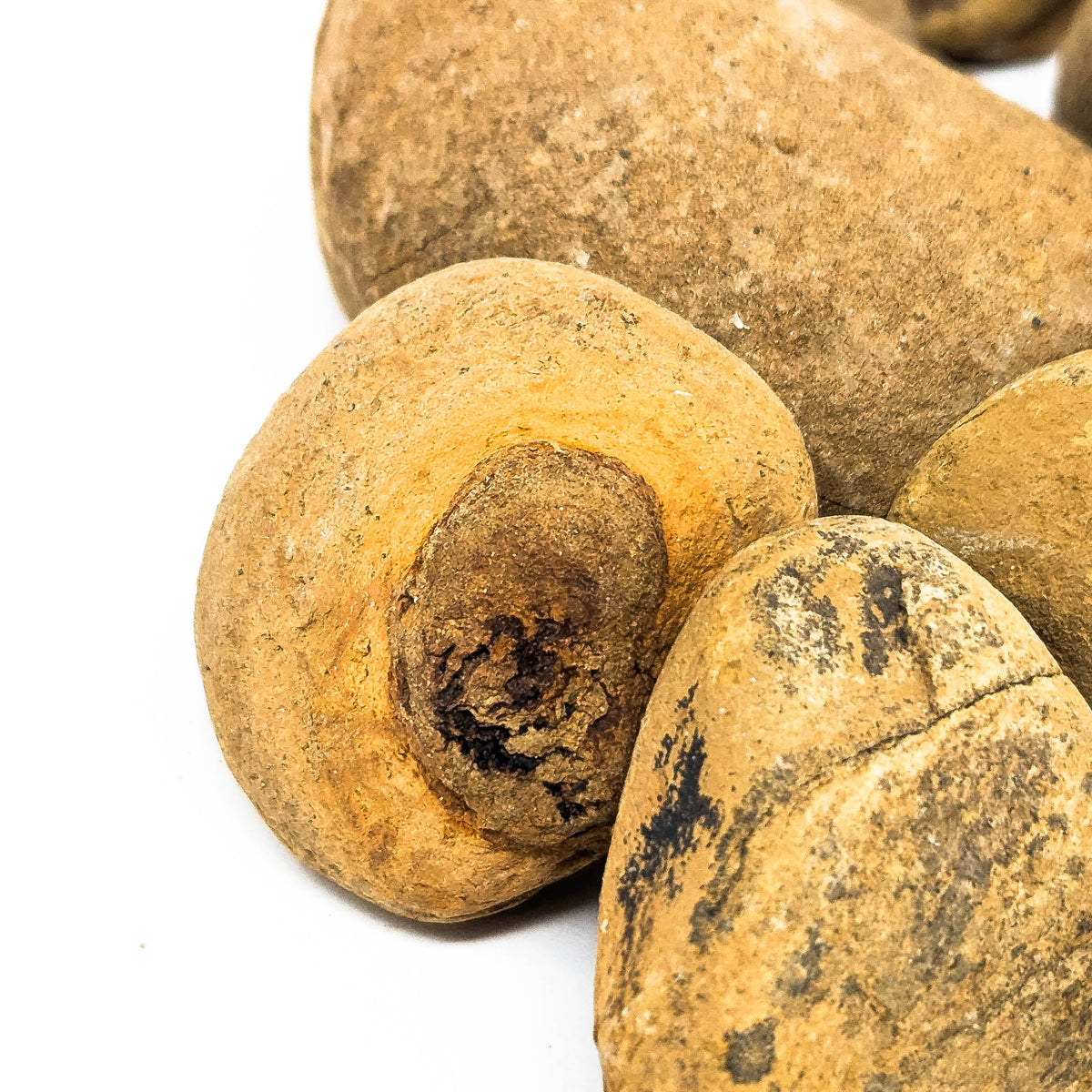 Ochre paint pigment rough from Joyce, Washington – nodules, close view
