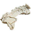 Oreodont - Full Body - Fossil Statement Specimen