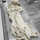 Oreodont - Full Body - Fossil Statement Specimen