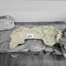 Oreodont - Full Body - Fossil Statement Specimen