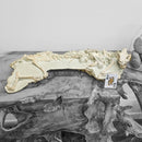 Oreodont - Full Body - Fossil Statement Specimen