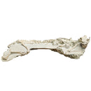 Oreodont - Full Body - Fossil Statement Specimen