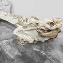 Oreodont - Full Body - Fossil Statement Specimen