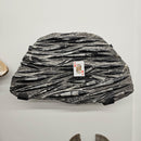 Orthoceras - Wall Mounted - Statement Fossil Specimen