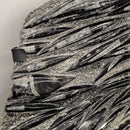Orthoceras - Wall Mounted - Statement Fossil Specimen