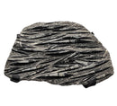 Orthoceras - Wall Mounted - Statement Fossil Specimen