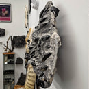 Orthoceras - Wall Mounted - Statement Fossil Specimen