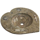 Ammonite & Orthoceras - Heart Shaped Washtub Sink - Fossil Statement