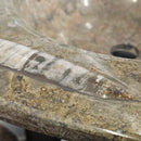 Ammonite & Orthoceras - Heart Shaped Washtub Sink - Fossil Statement