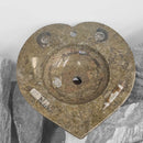 Ammonite & Orthoceras - Heart Shaped Washtub Sink - Fossil Statement